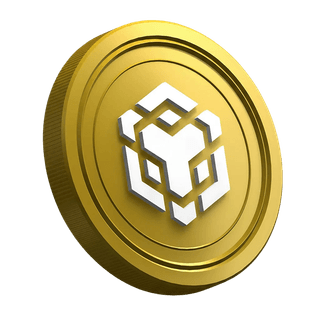 Binance BNB kripto para birimine yönelik yeni yatırımcı rehberi sayfasında